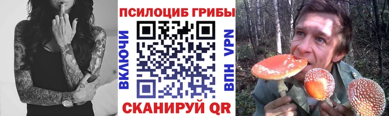 Псилоцибиновые грибы мухоморы  наркотики  Нижневартовск 