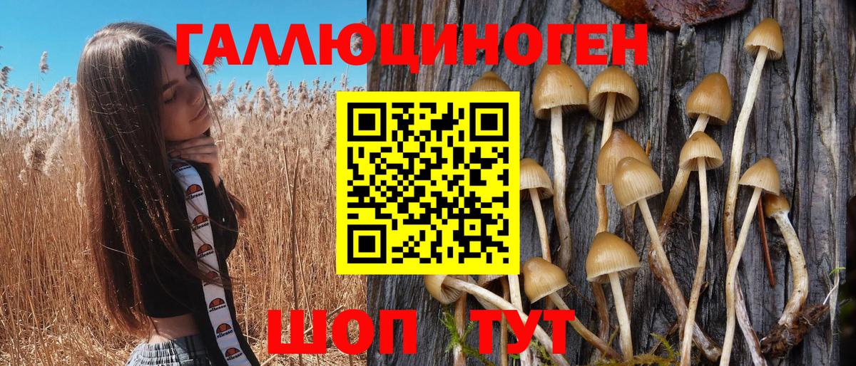 Галлюциногенные грибы Psilocybine cubensis  Псилоцибиновые грибы Psilocybine cubensis  Нижневартовск 